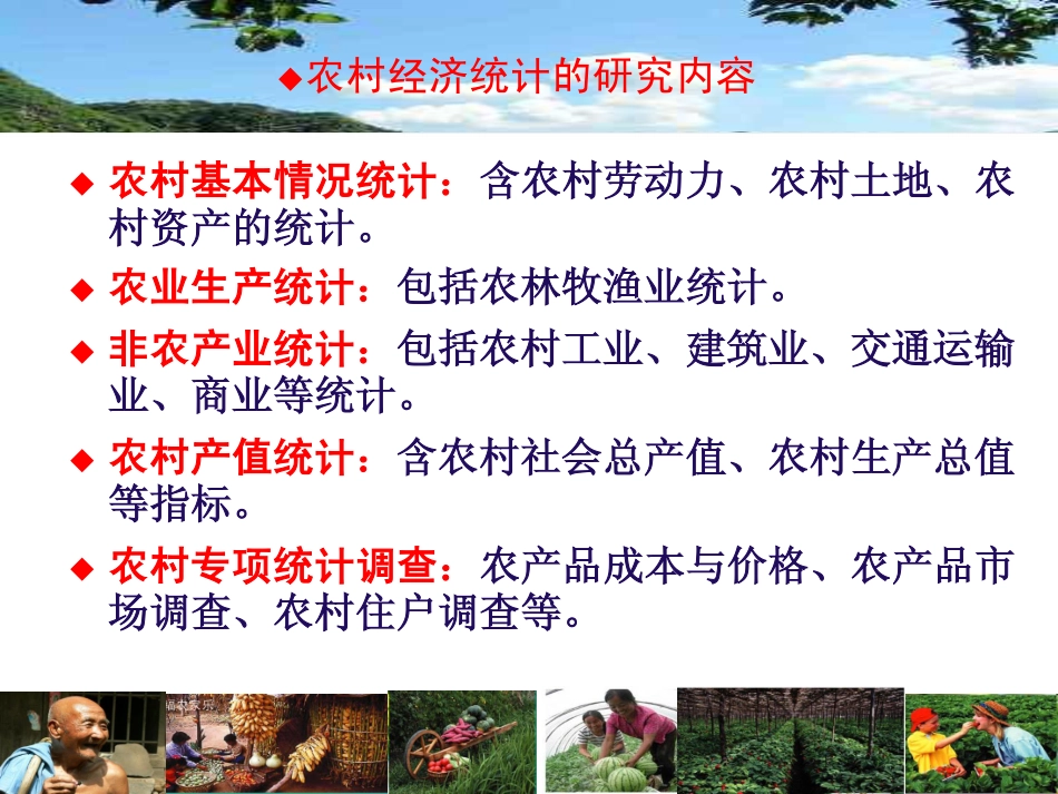 第15讲农村社会经济效益统计.pdf_第3页