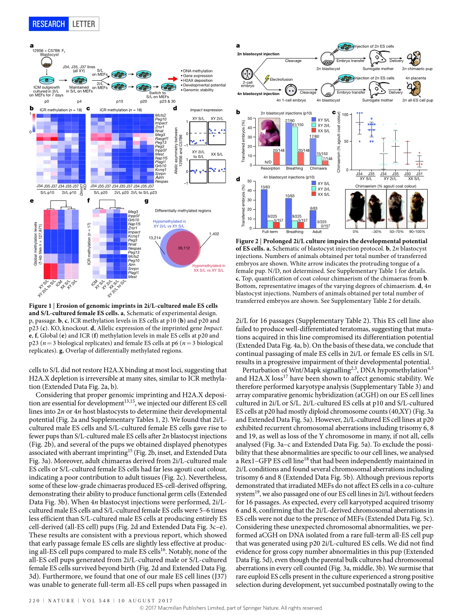 2017-Choi-Prolonged Mek1_2 suppression impairs.pdf_第2页