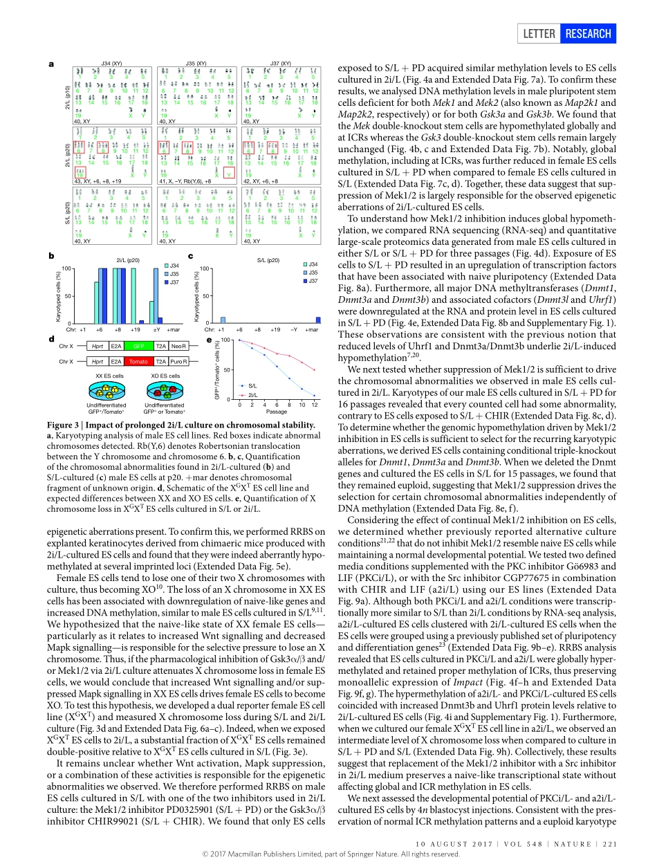 2017-Choi-Prolonged Mek1_2 suppression impairs.pdf_第3页