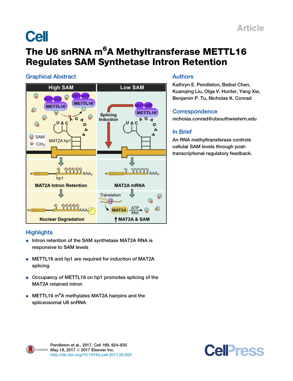 2017-Pendleton-The U6 snRNA m(6)A Methyltransf.pdf_第1页