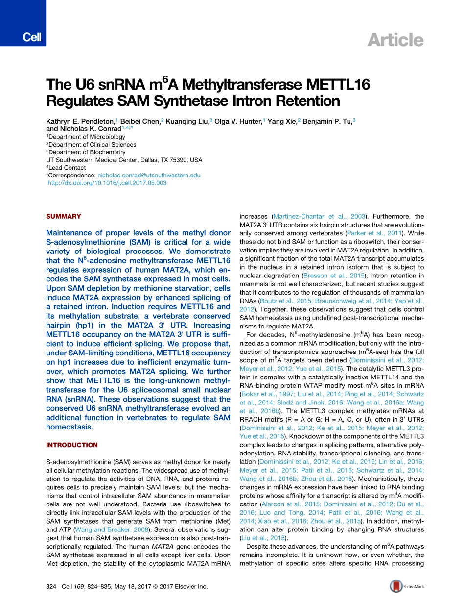 2017-Pendleton-The U6 snRNA m(6)A Methyltransf.pdf_第2页