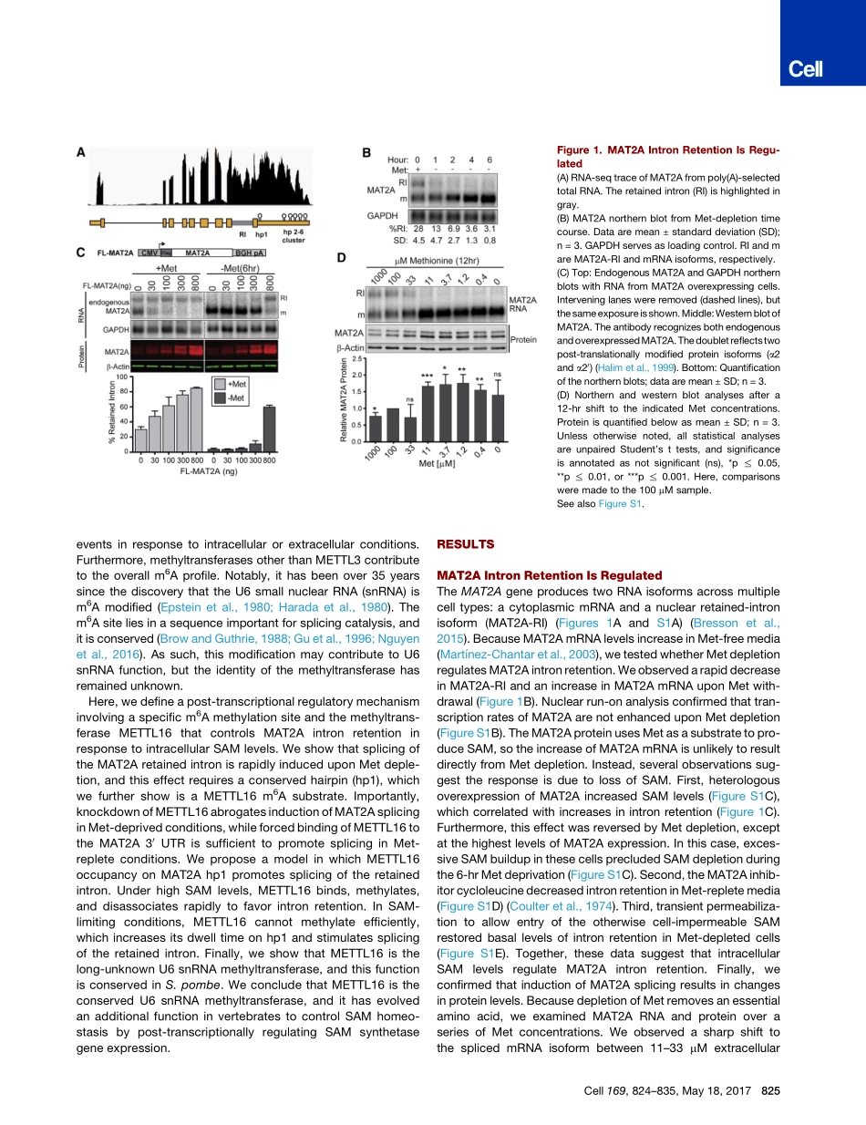 2017-Pendleton-The U6 snRNA m(6)A Methyltransf.pdf_第3页