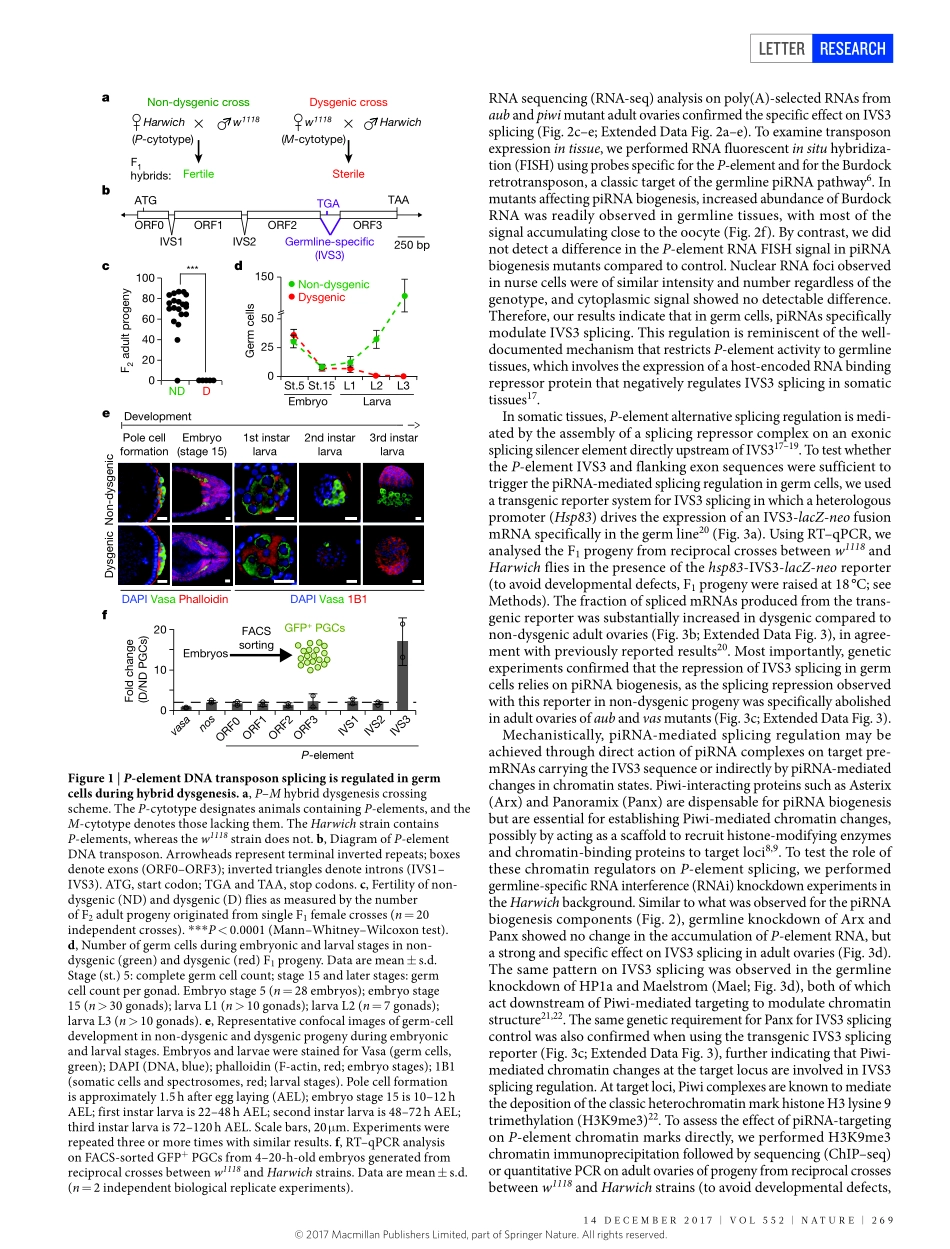 2017-Teixeira-piRNA-mediated regulation of tra.pdf_第2页