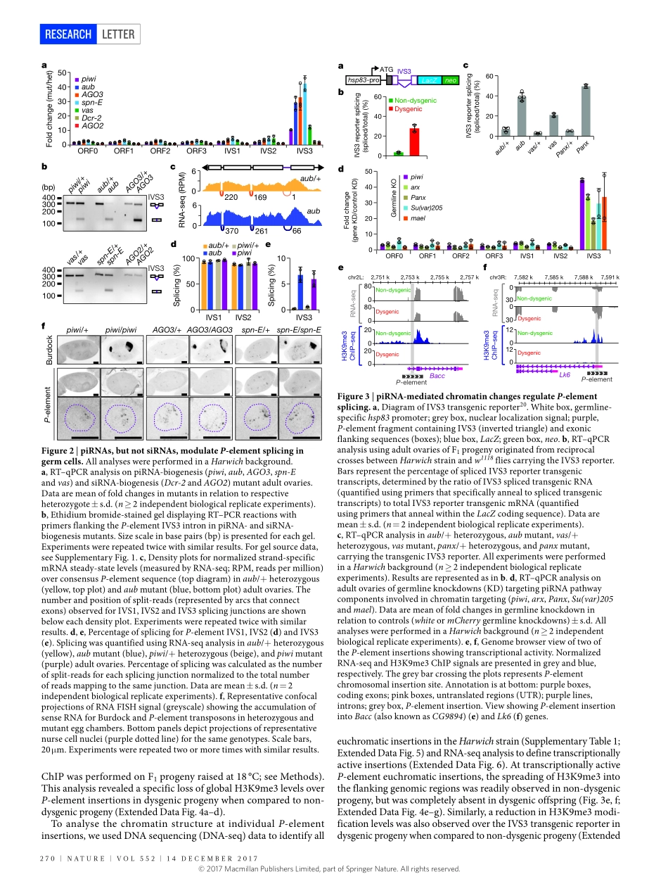 2017-Teixeira-piRNA-mediated regulation of tra.pdf_第3页