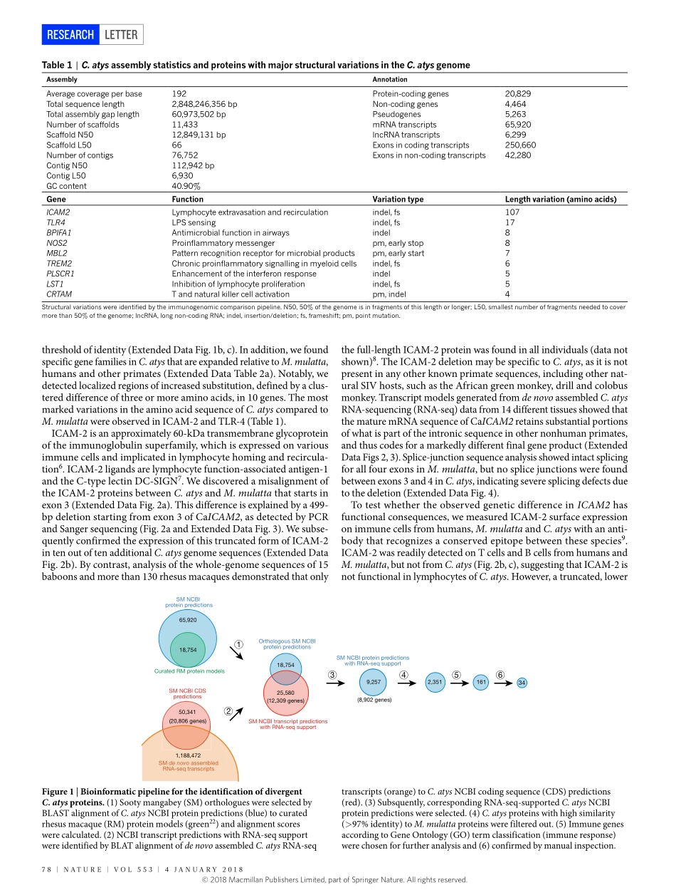 2018-Palesch-Sooty mangabey genome sequence pr.pdf_第2页