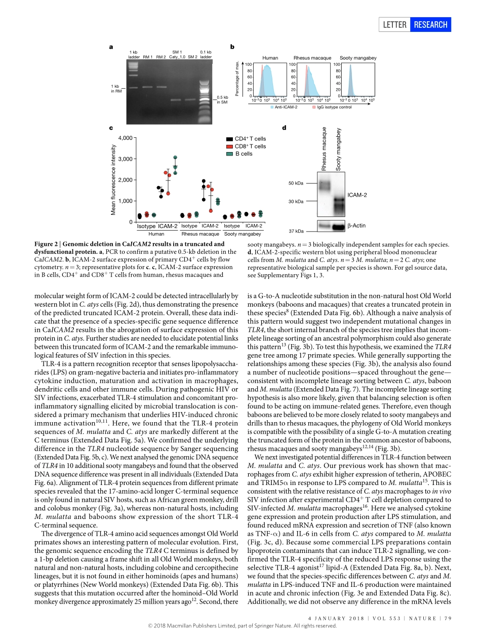 2018-Palesch-Sooty mangabey genome sequence pr.pdf_第3页