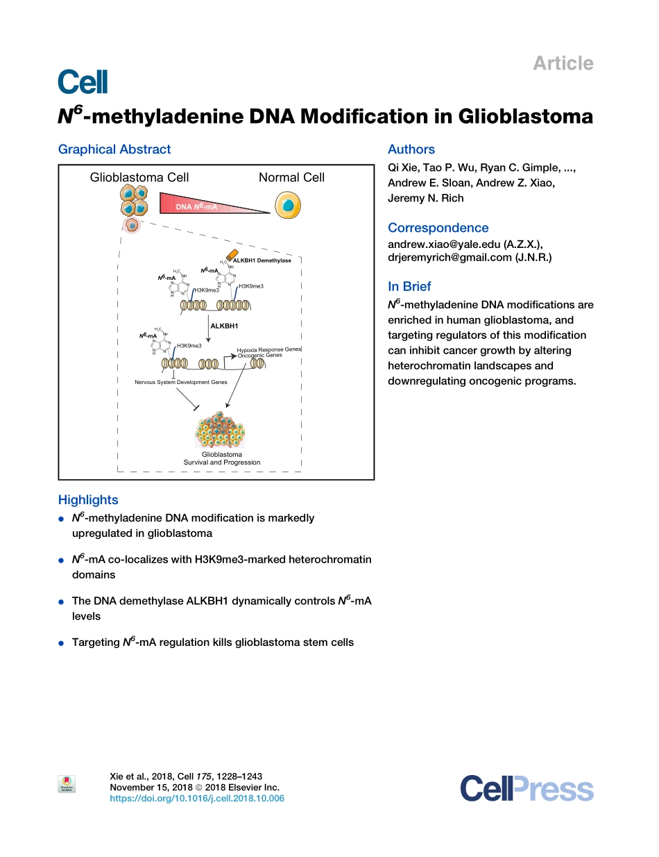 2018-Xie-N(6)-methyladenine DNA Modification i.pdf_第1页