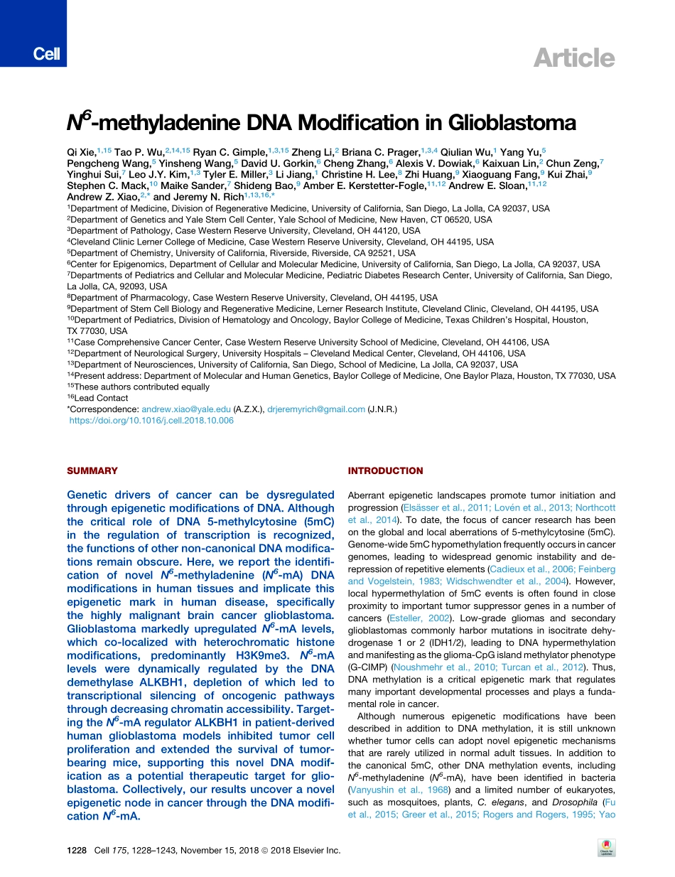 2018-Xie-N(6)-methyladenine DNA Modification i.pdf_第2页