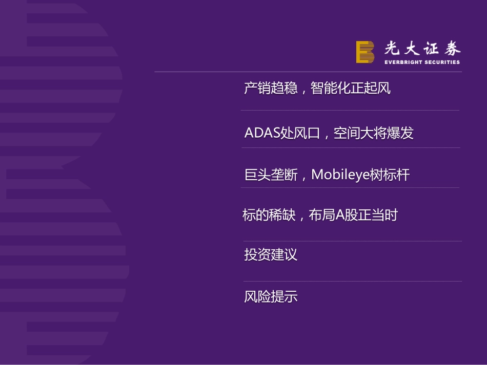 20160113-光大证券-2016年汽车行业投资策略：智能汽车时代光环尽照ADAS.pdf_第3页