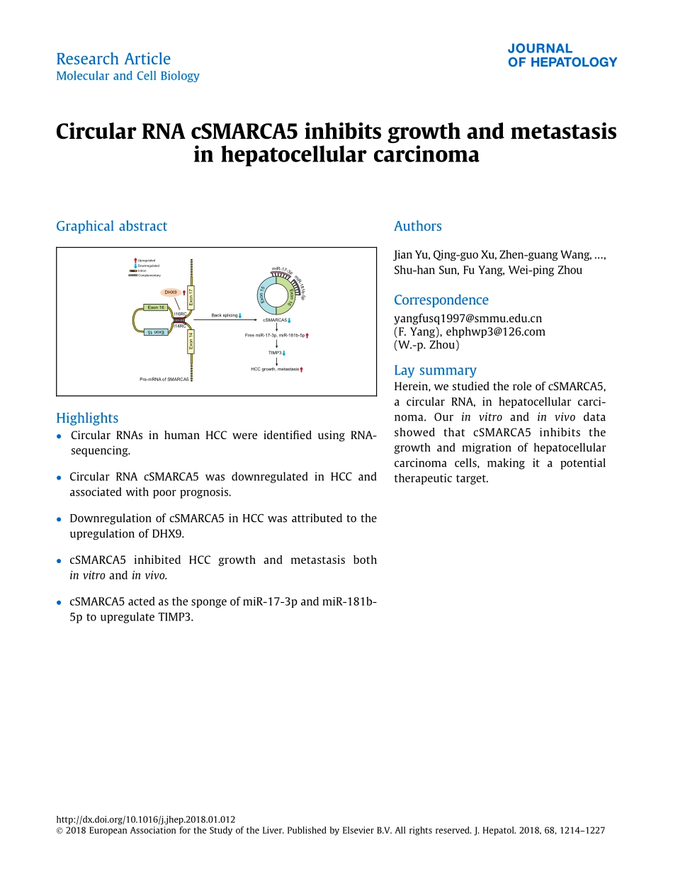 ceRNA-2018-Circular RNA cSMARCA5 inhibits growth.pdf_第1页