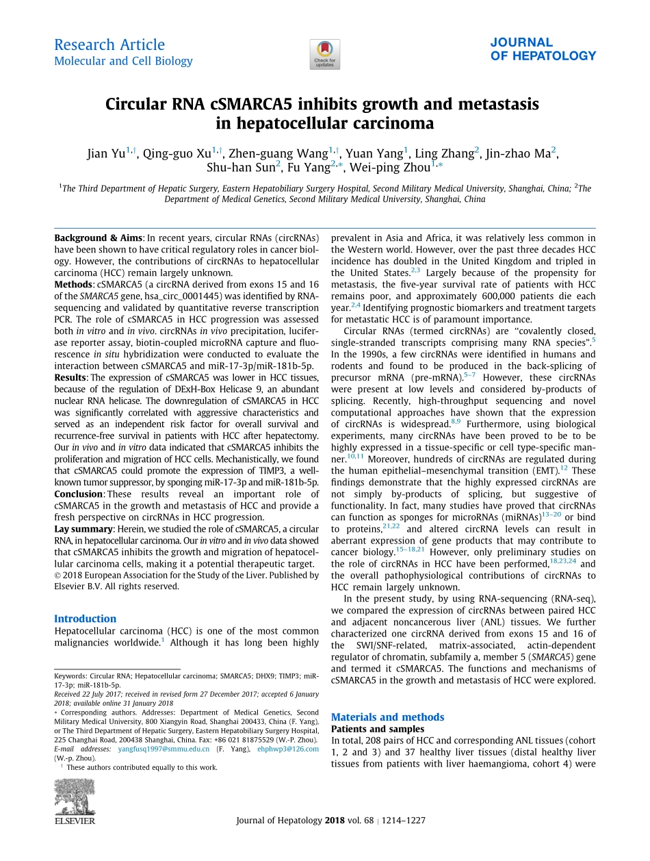 ceRNA-2018-Circular RNA cSMARCA5 inhibits growth.pdf_第2页