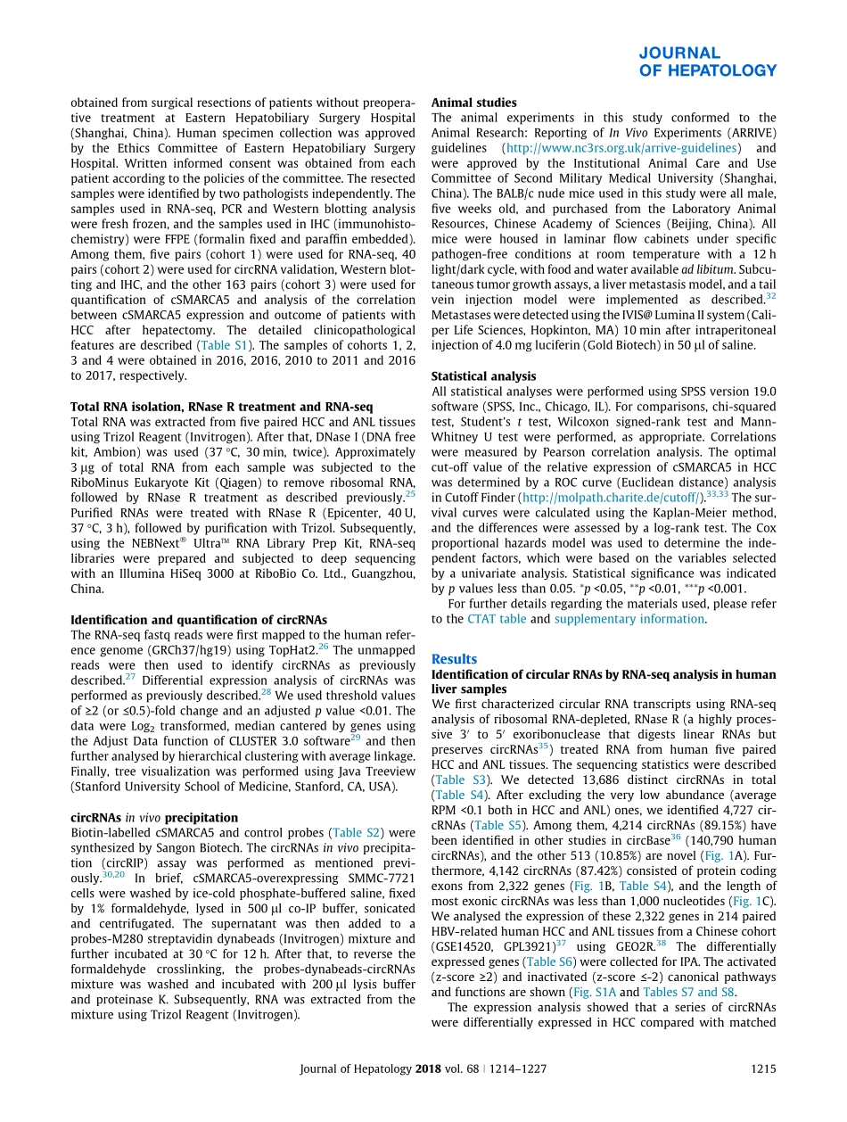 ceRNA-2018-Circular RNA cSMARCA5 inhibits growth.pdf_第3页