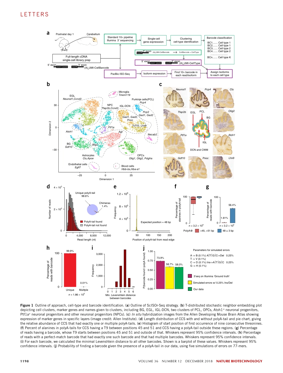 Gupta-2018-Single-cell isoform RNA sequencing.pdf_第2页