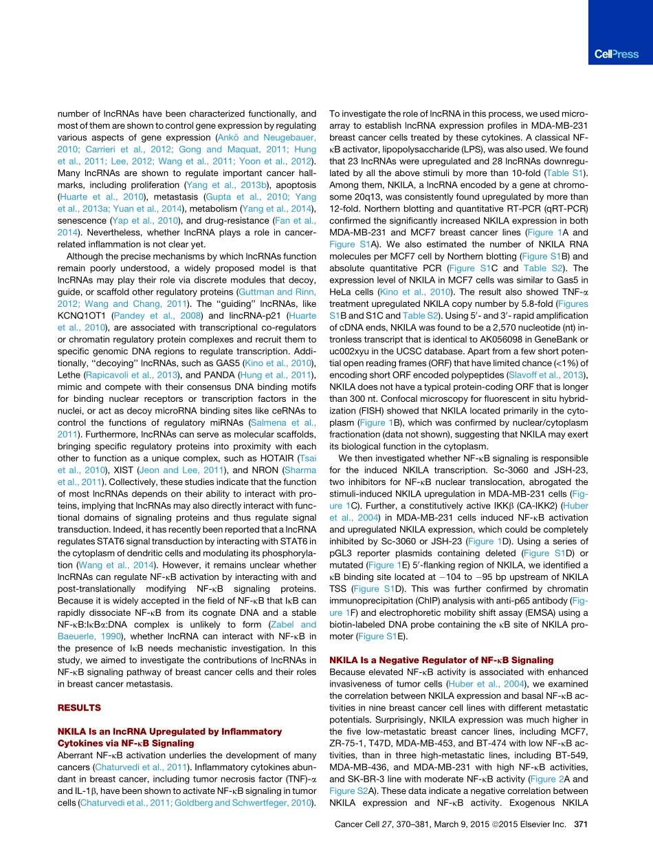 lncRNA调控蛋白磷酸化抑制pathway：A Cytoplasmic NF-kB Interacting Long Noncoding RNA Blocks IkB Phosphorylation and Suppresses Breast Cancer Metastasis.pdf_第3页