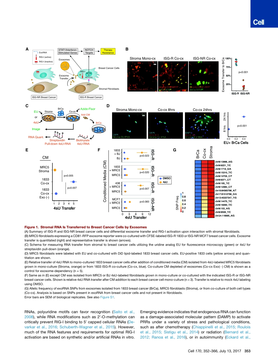 Nabet-2017-Exosome RNA Unshielding Couples Str.pdf_第3页