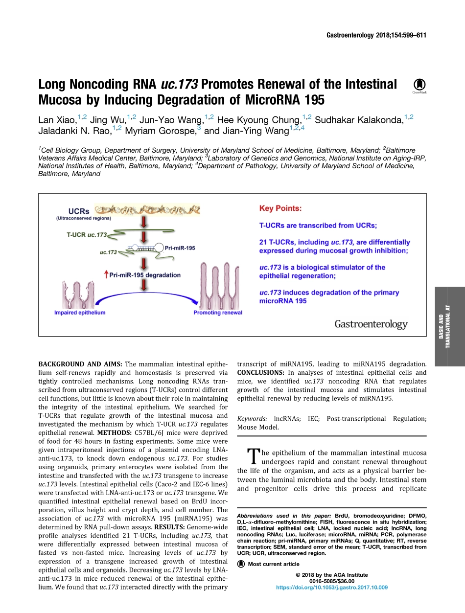 Xiao-2018-Long Noncoding RNA uc.173 Promotes R.pdf_第1页