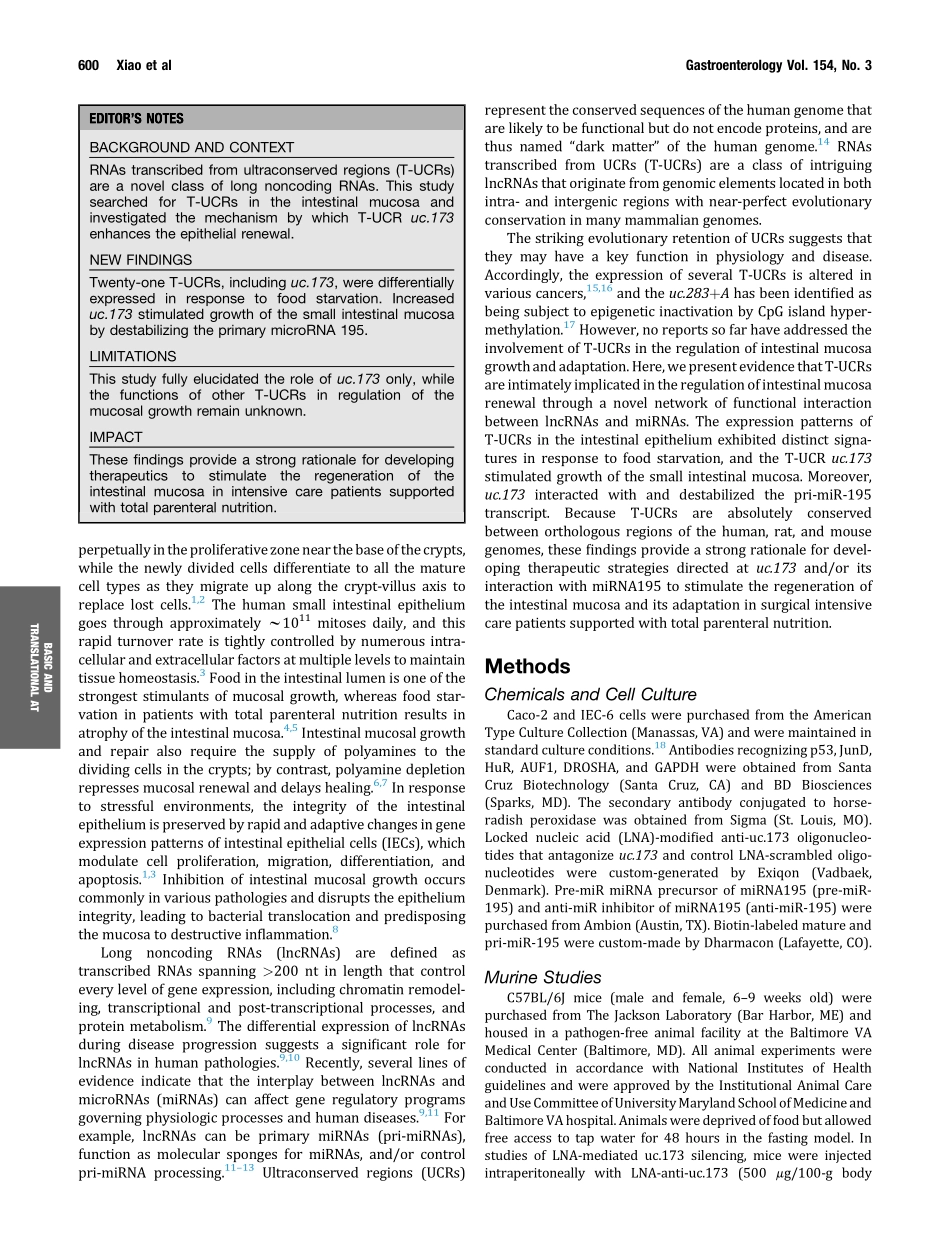 Xiao-2018-Long Noncoding RNA uc.173 Promotes R.pdf_第2页