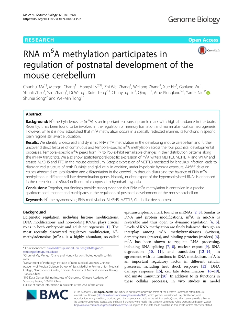 小脑发育：methylation participates in .pdf_第1页
