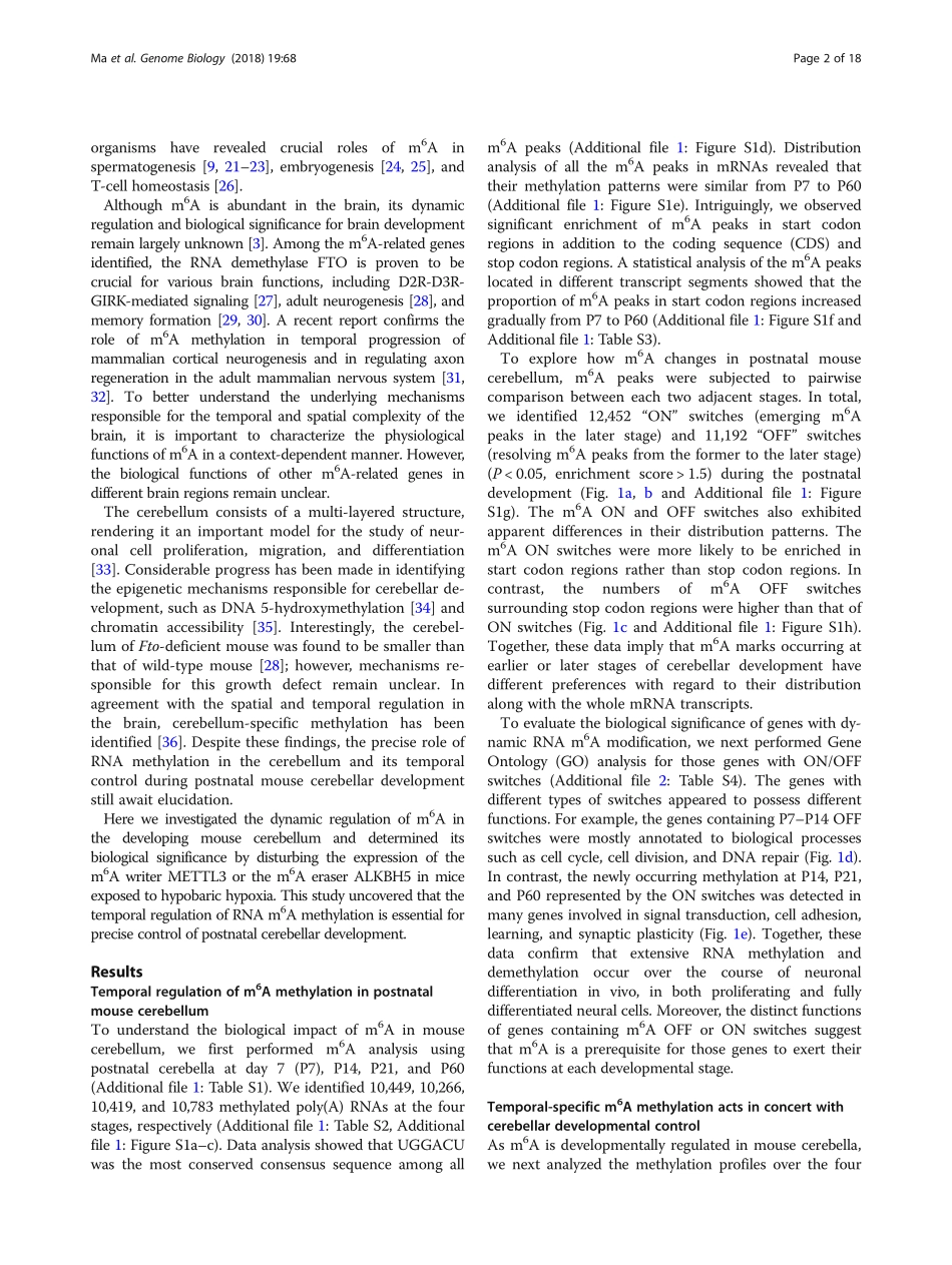 小脑发育：methylation participates in .pdf_第2页