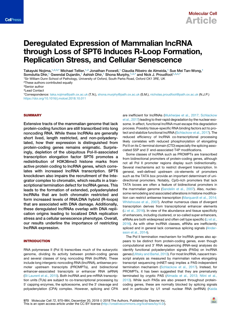 蛋白调控lncRNAs表达转录：Deregulated Expression of Mammalian lncRNA through Loss of SPT6 Induces R-Loop Formation, Replication Stress, and Cellular Senescence.pdf_第2页