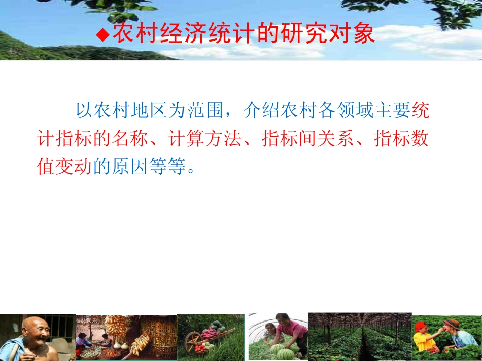 第10讲农村社会总产值与净产值统计4-13.pdf_第2页