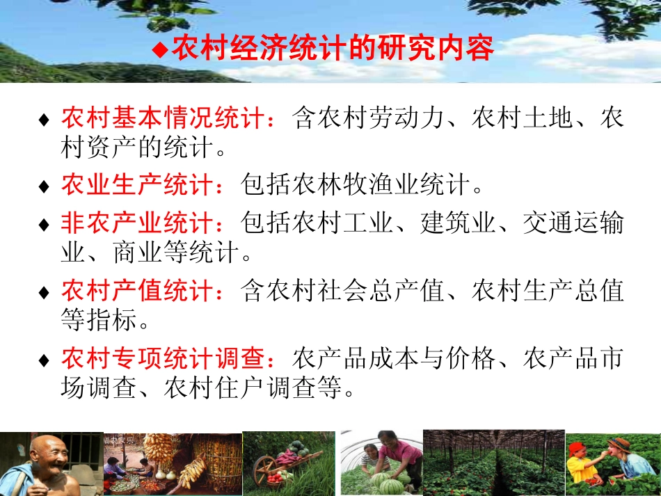 第10讲农村社会总产值与净产值统计4-13.pdf_第3页