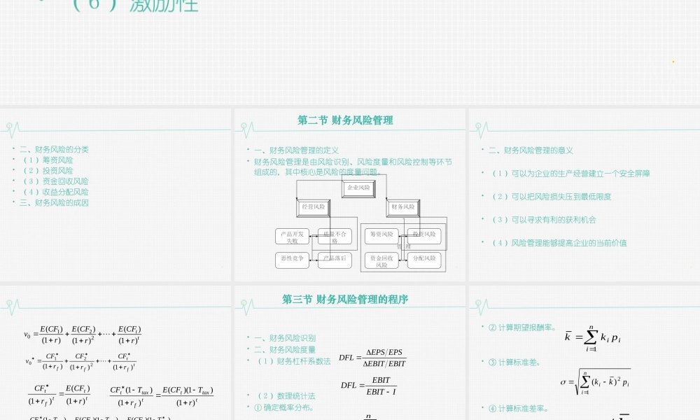 13第十三章 财务风险管理.ppt