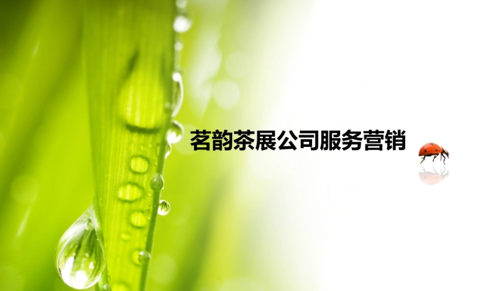 99茗韵茶展服务营销.ppt