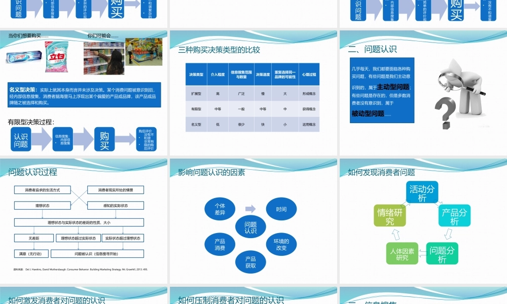 b第二章 消费者决策过程：问题认识与信息搜集.pptx