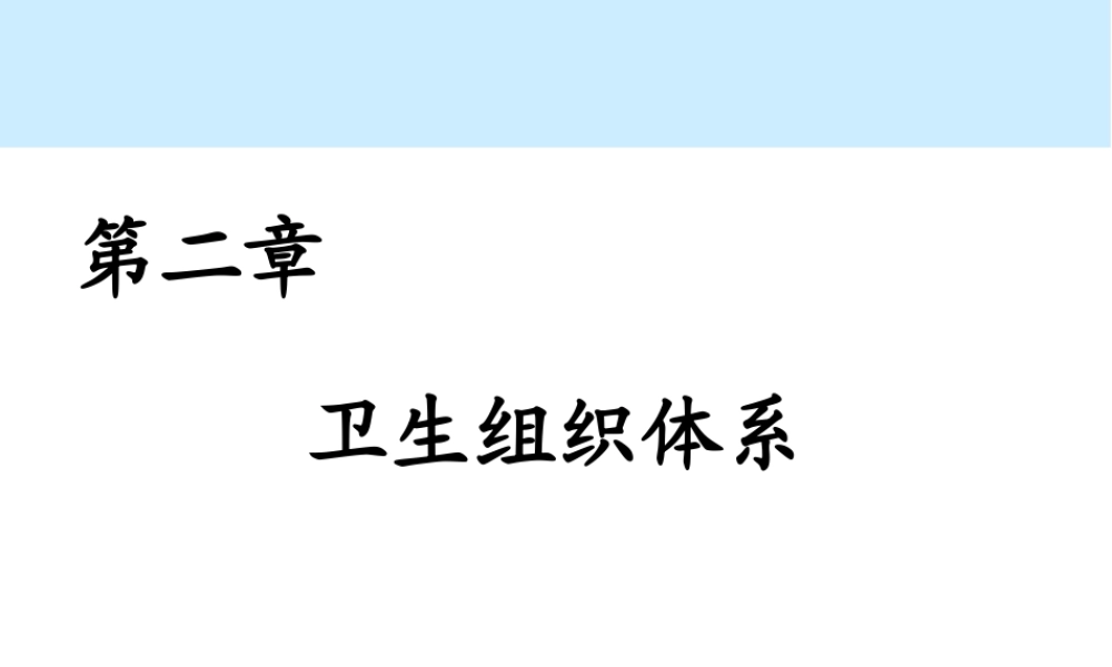 第02章 卫生组织.ppt