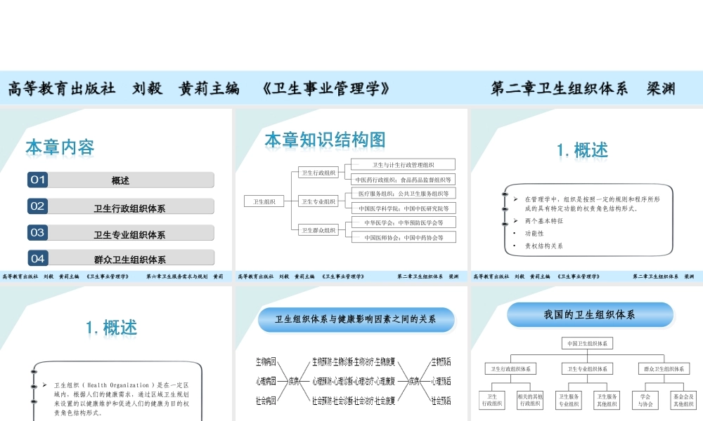 第02章 卫生组织.ppt