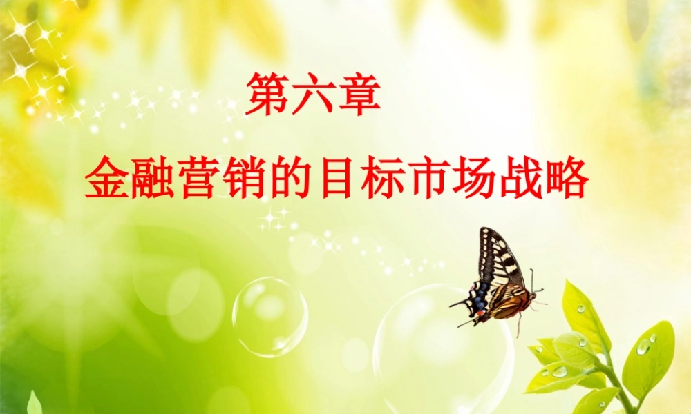 第6章 金融营销的目标市场战略.ppt