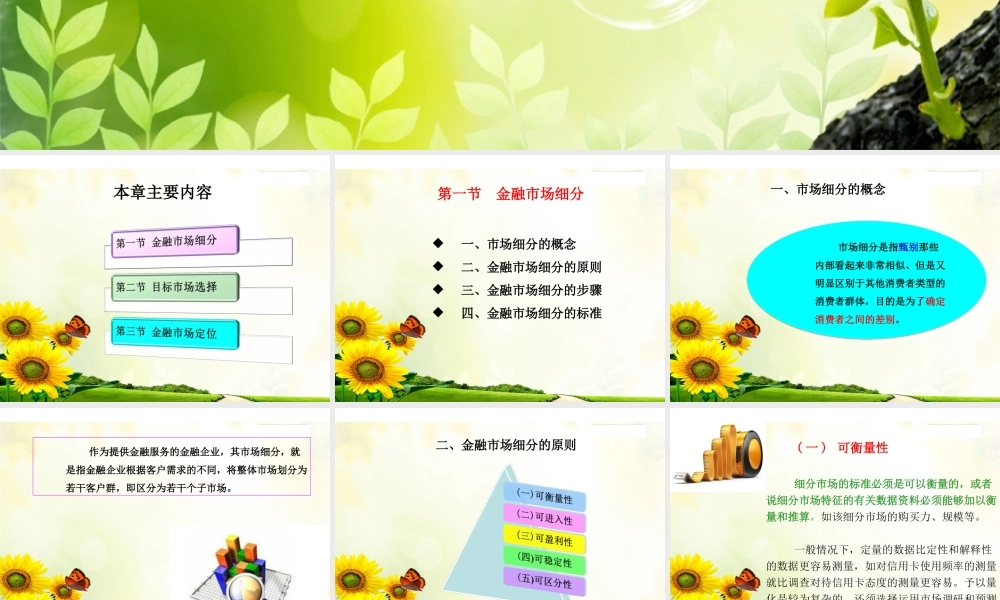 第6章 金融营销的目标市场战略.ppt