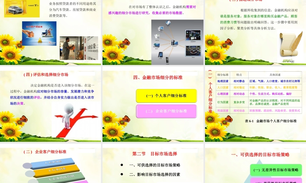 第6章 金融营销的目标市场战略.ppt