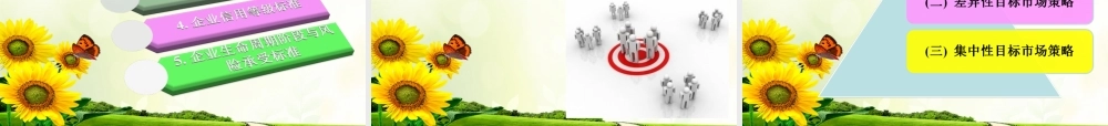 第6章 金融营销的目标市场战略.ppt