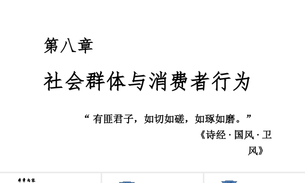第08章 社会群体与消费行为.pptx