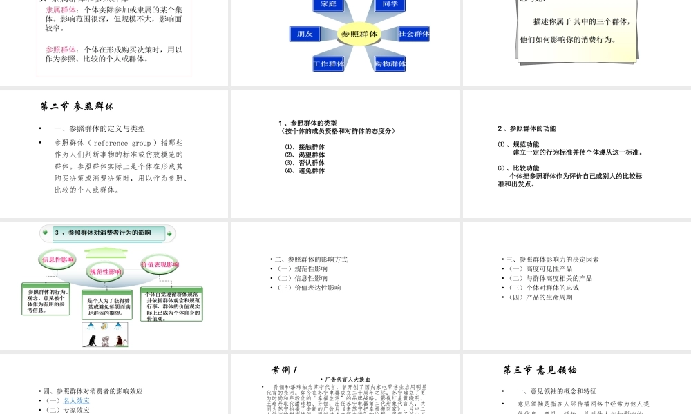 第08章 社会群体与消费行为.pptx