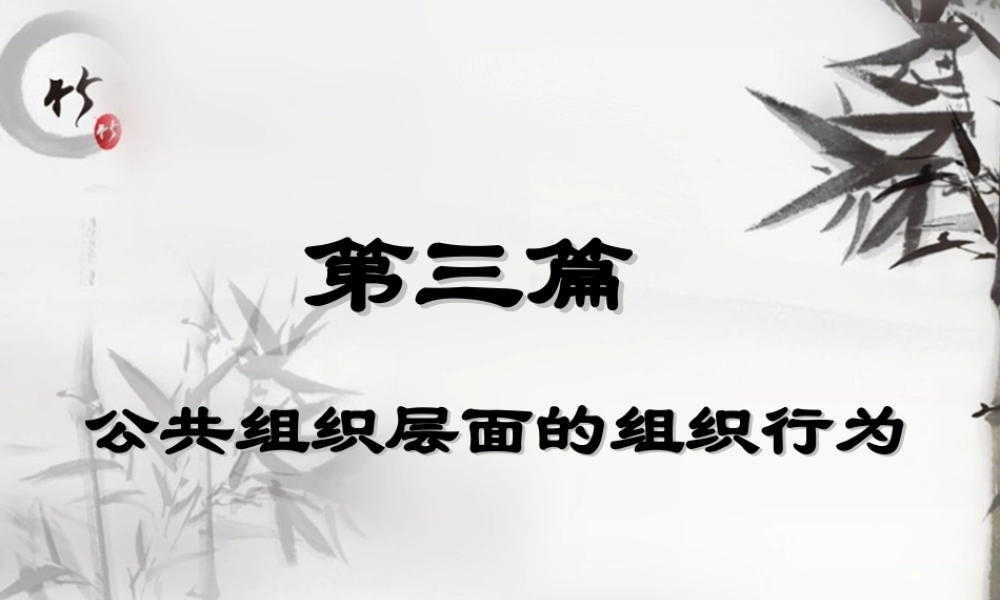 第三篇 公共组织层面的组织行为.ppt