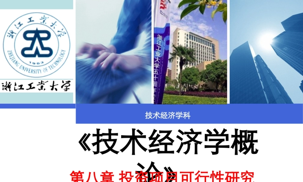 第08章 项目可行性研究.pptx