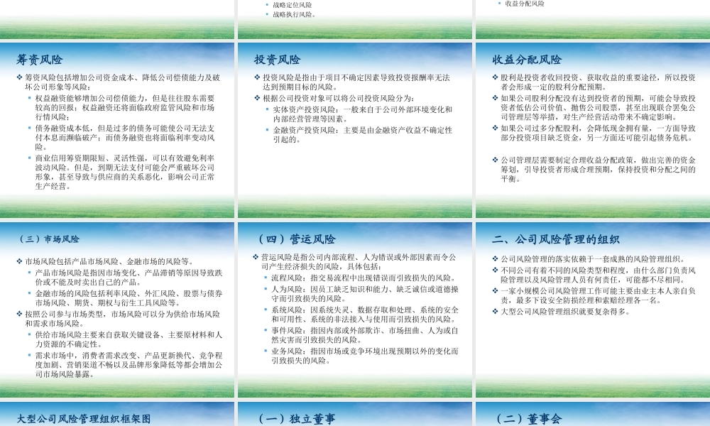 第09章公司理财中的风险管理.ppt