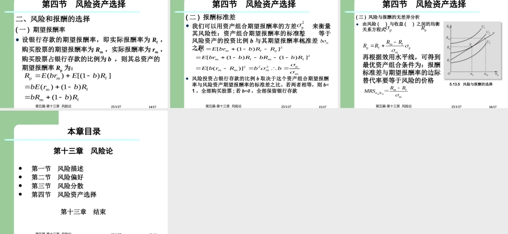 第五篇-第十三章风险论.ppt