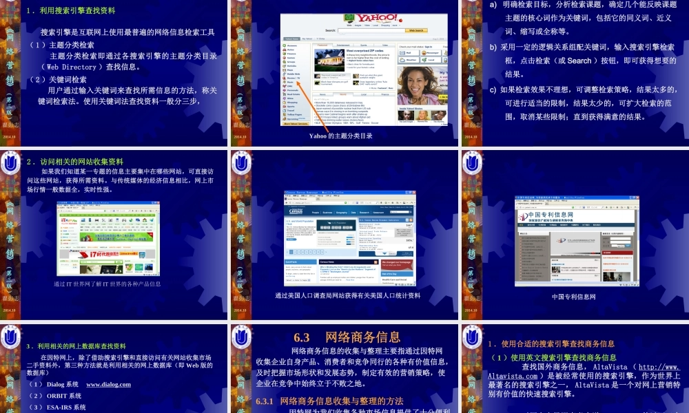 06第06章网络市场调研.ppt