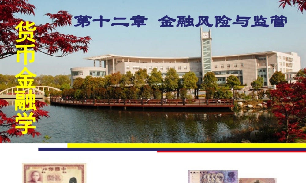 12第十二章 金融风险与监管.ppt