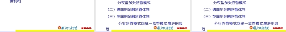 12第十二章 金融风险与监管.ppt