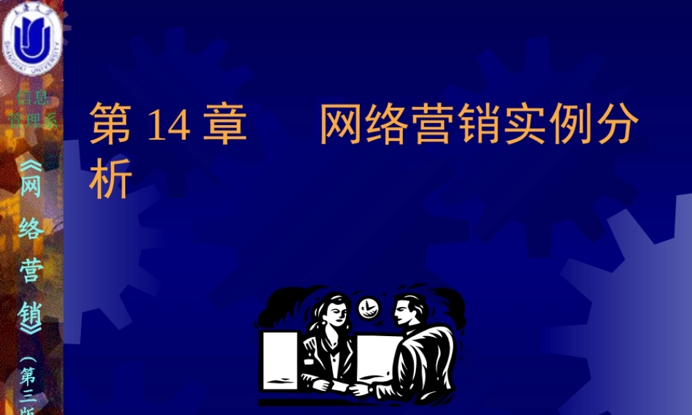 14第14章网络营销实例分析.ppt