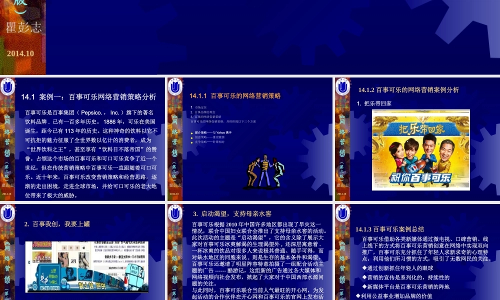 14第14章网络营销实例分析.ppt
