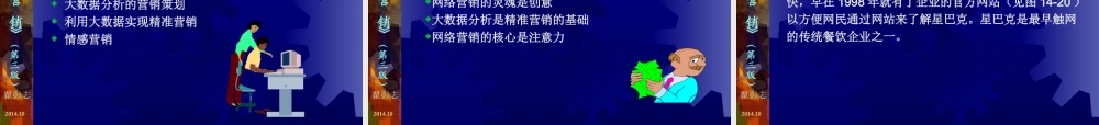 14第14章网络营销实例分析.ppt