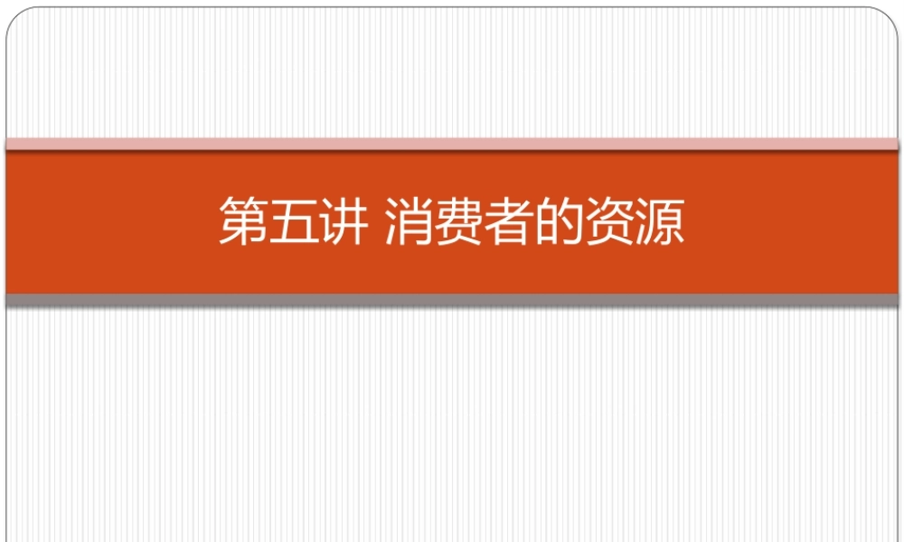 e第五章 消费者的资源.pptx
