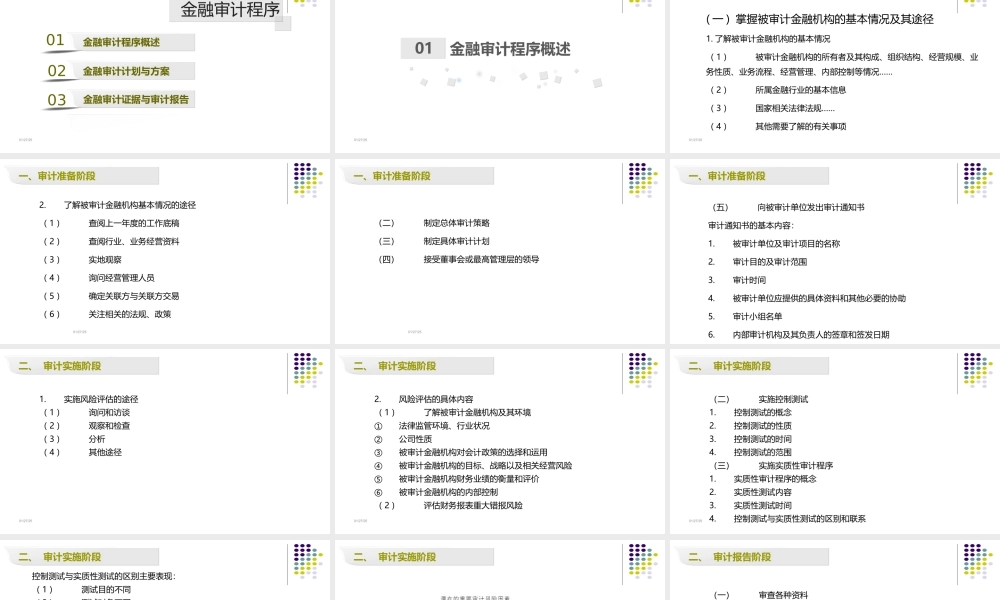 第02章 金融审计程序.ppt