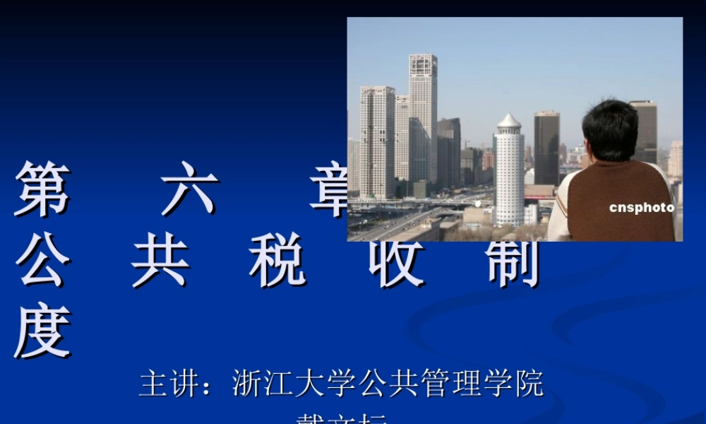 第06章 公共税收制度.ppt